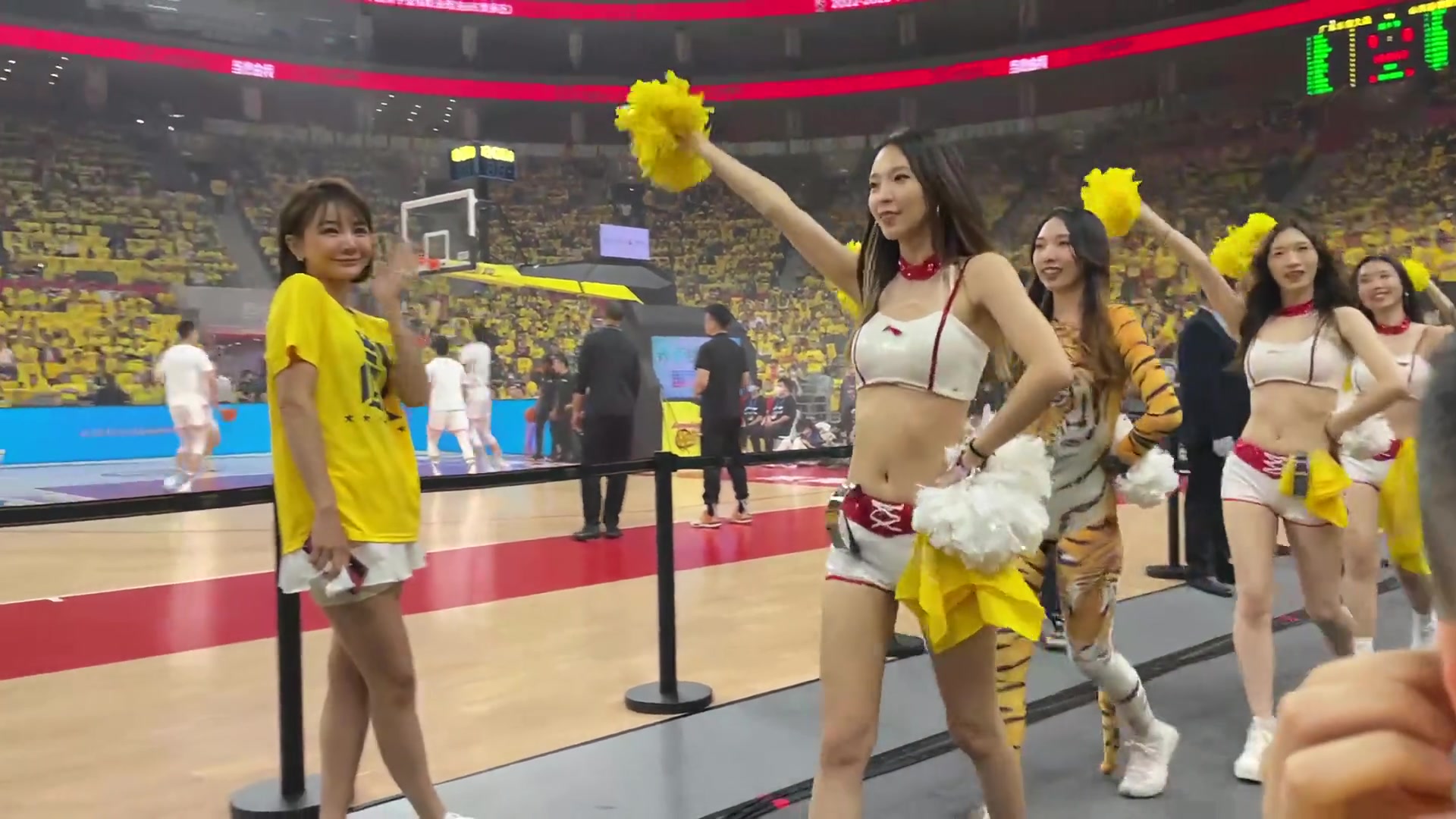 东莞主场前排球迷晒视频：广东不单球员厉害 啦啦队也不让须眉