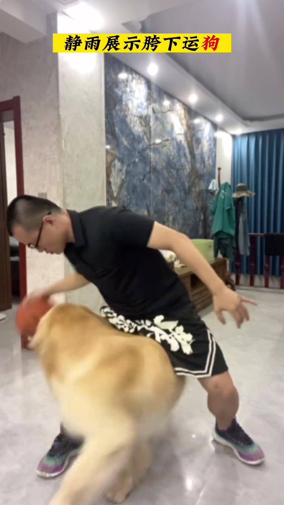 徐静雨展示运球绝技：胯下运狗子????
