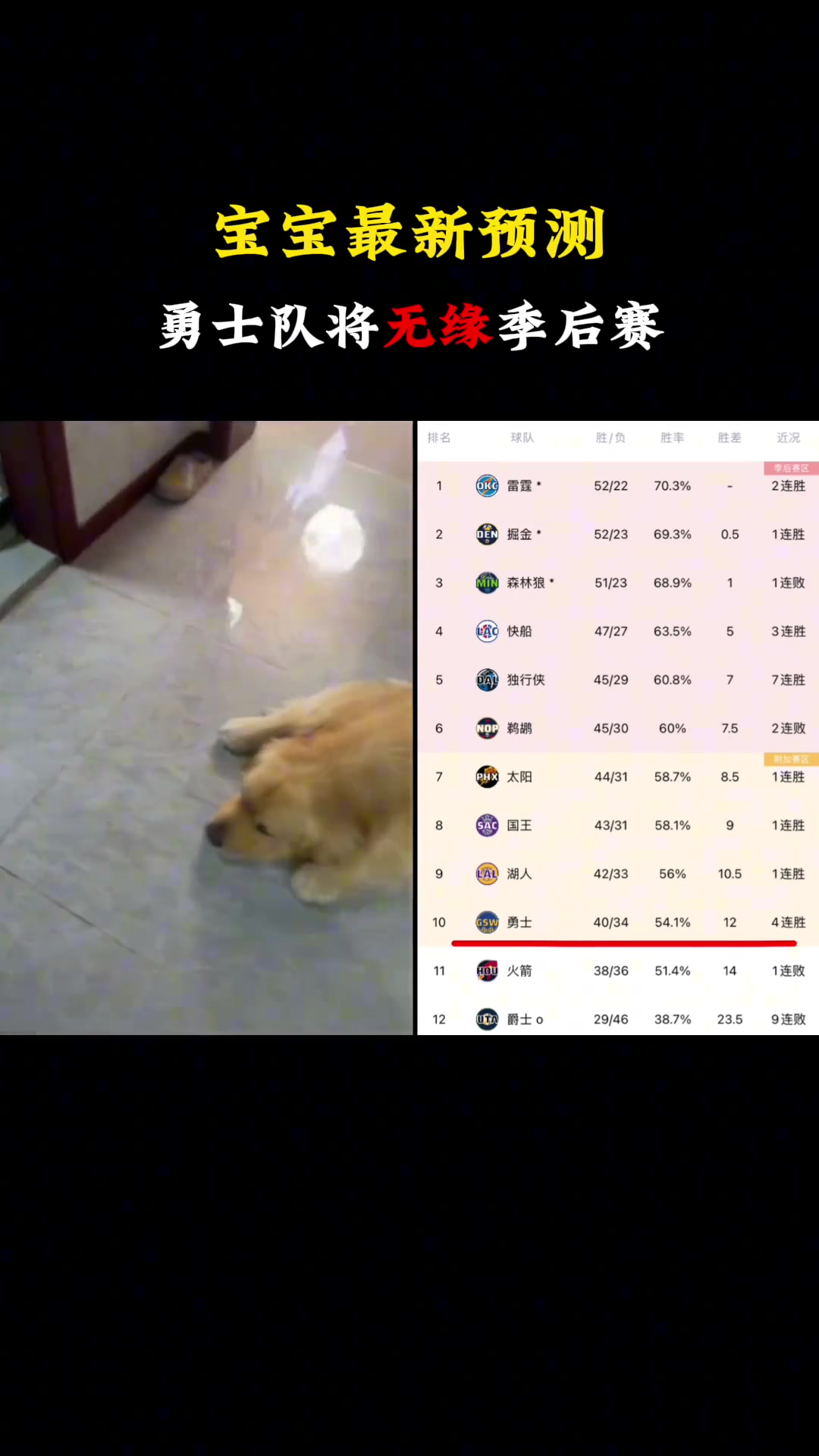 徐静雨用自己的狗来预测勇士命运：如果勇士能进季后赛就先迈左脚！