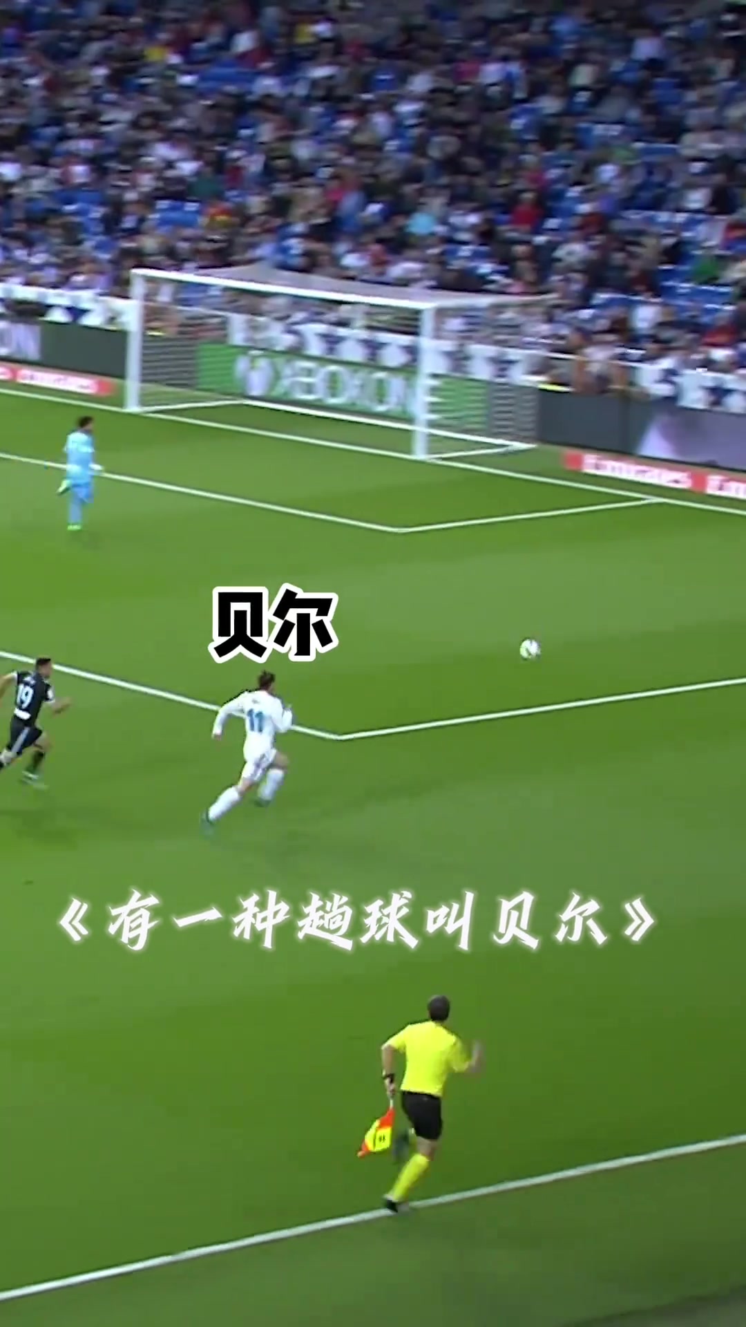 /video/xijia/231691.html