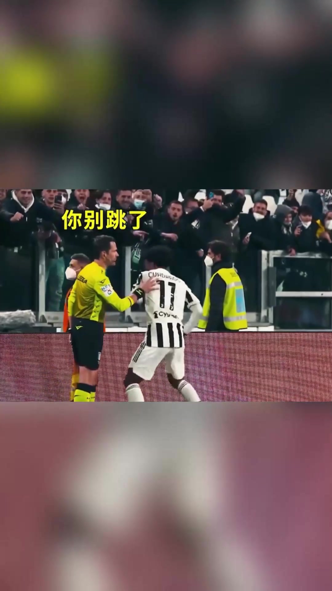 /video/yijia/231874.html