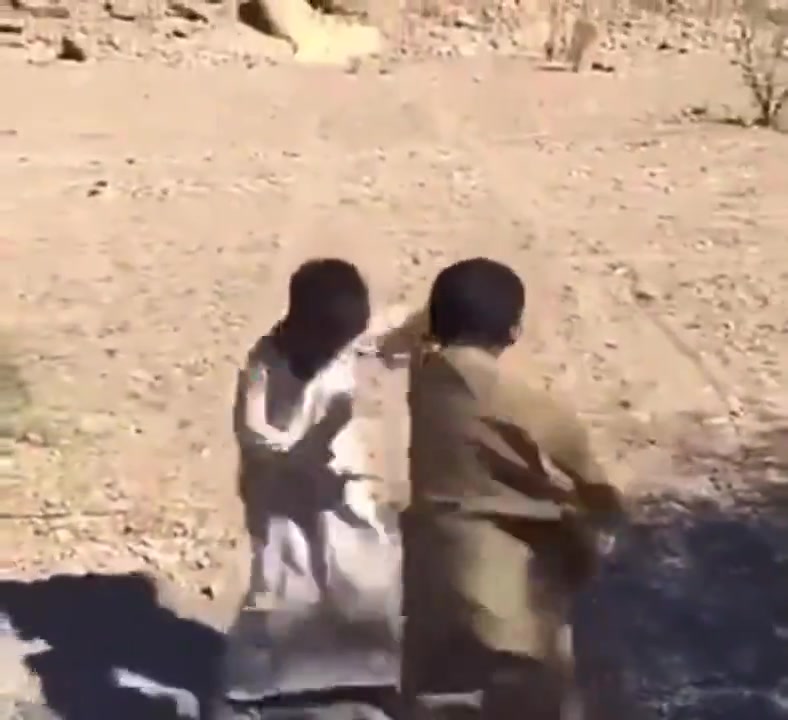 /video/xijia/232743.html
