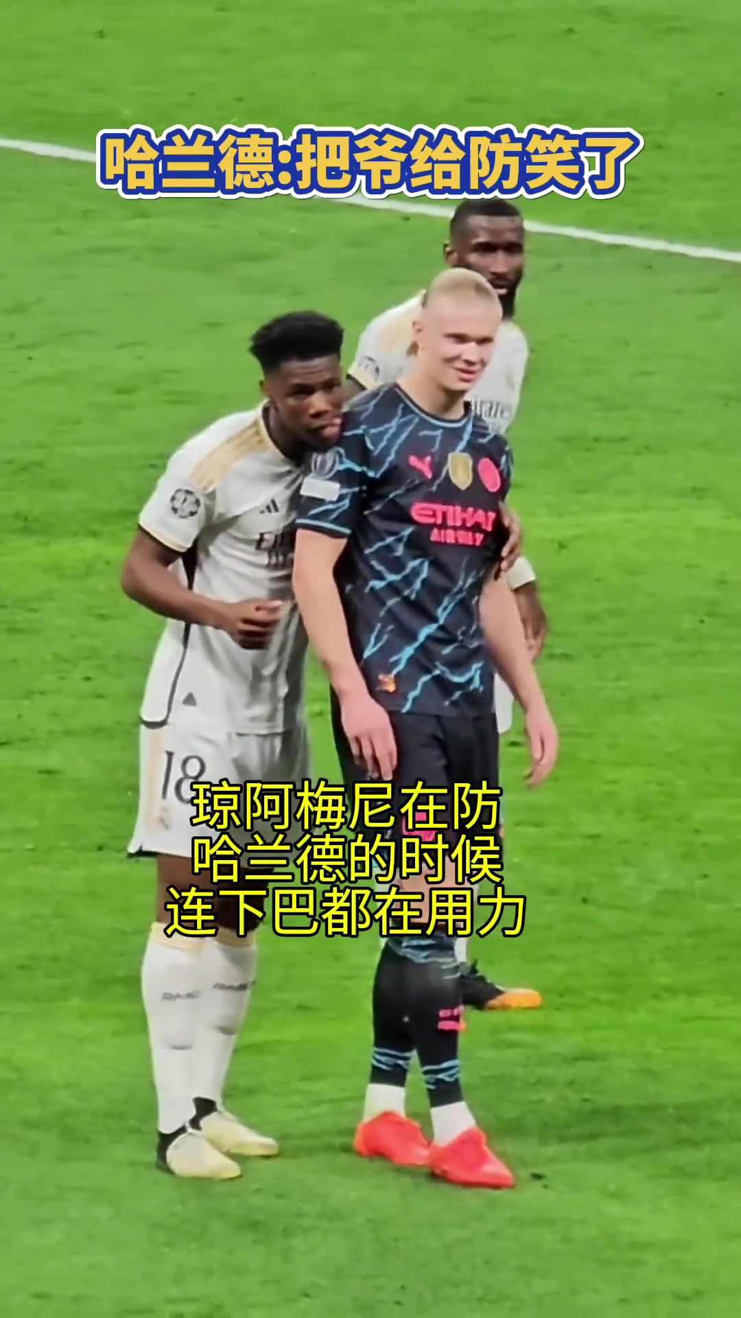 /video/xijia/232980.html