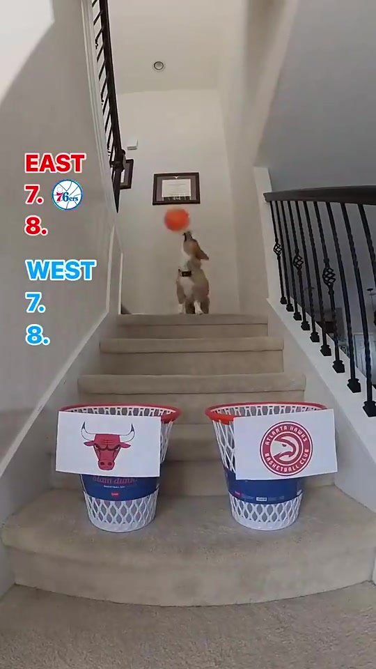 /video/nba/234318.html