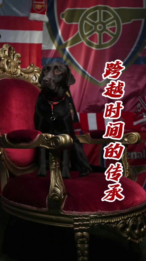 /video/yingchao/235735.html