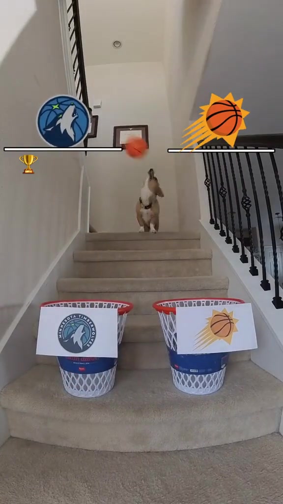 /video/nba/235938.html