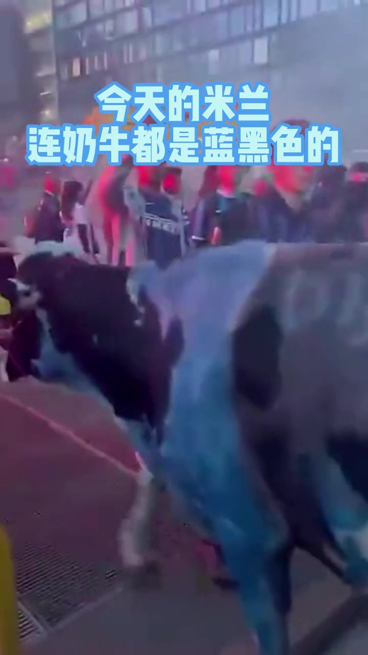 /video/yijia/237218.html