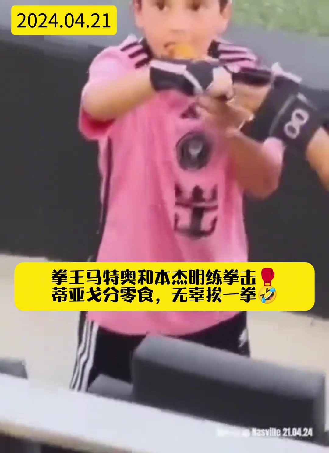 /video/xijia/238231.html