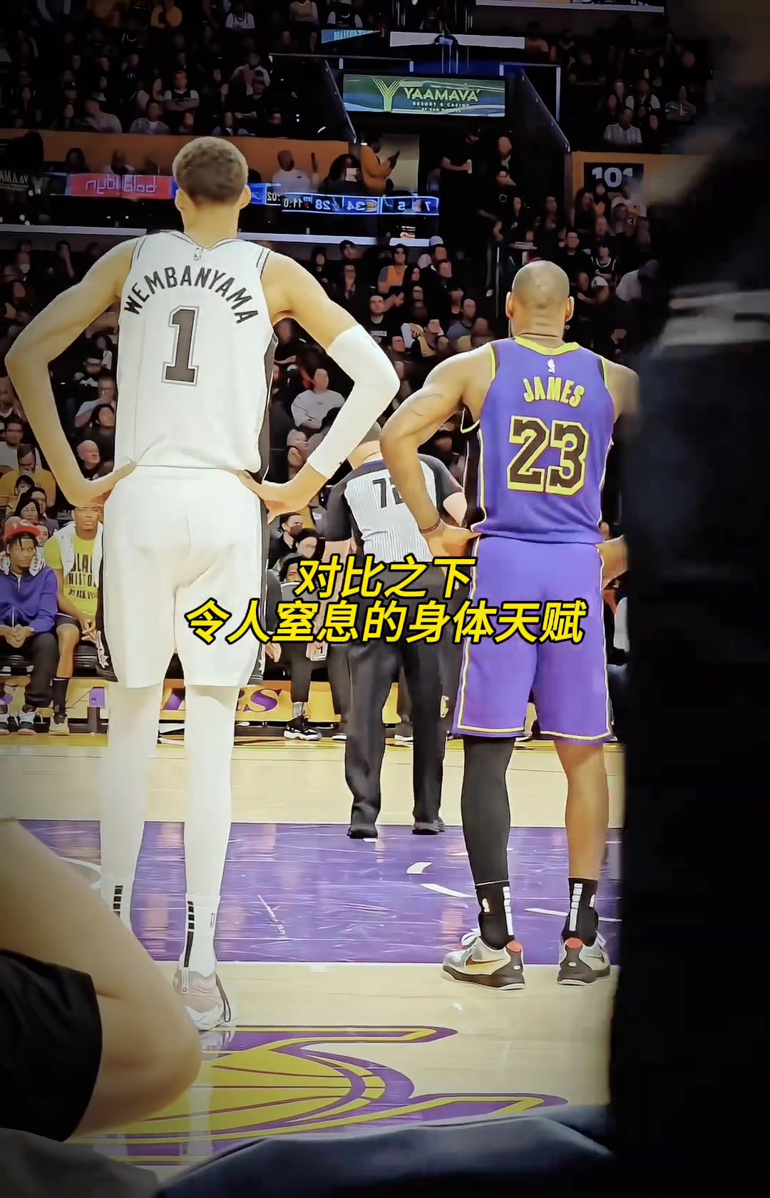 /video/nba/239067.html
