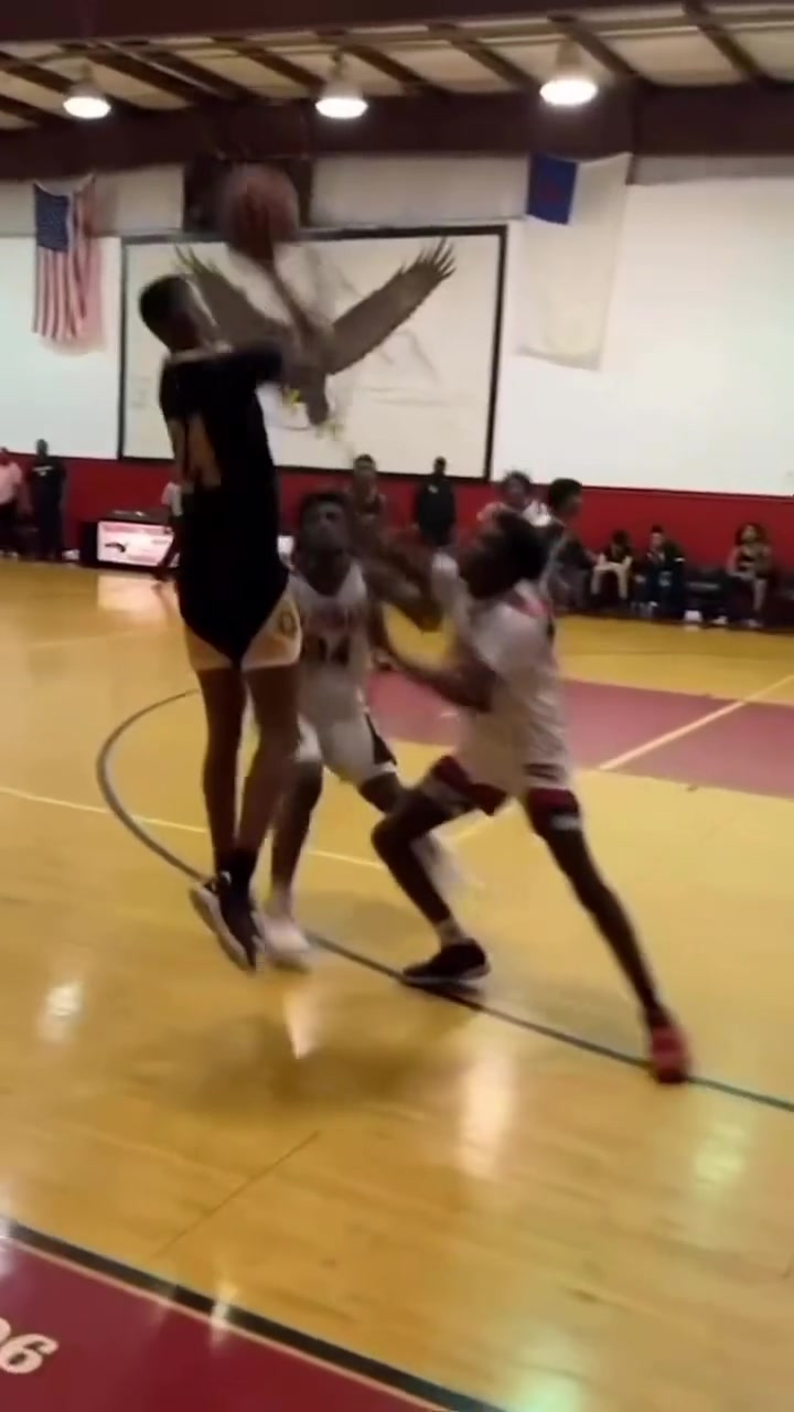 /video/nba/242224.html
