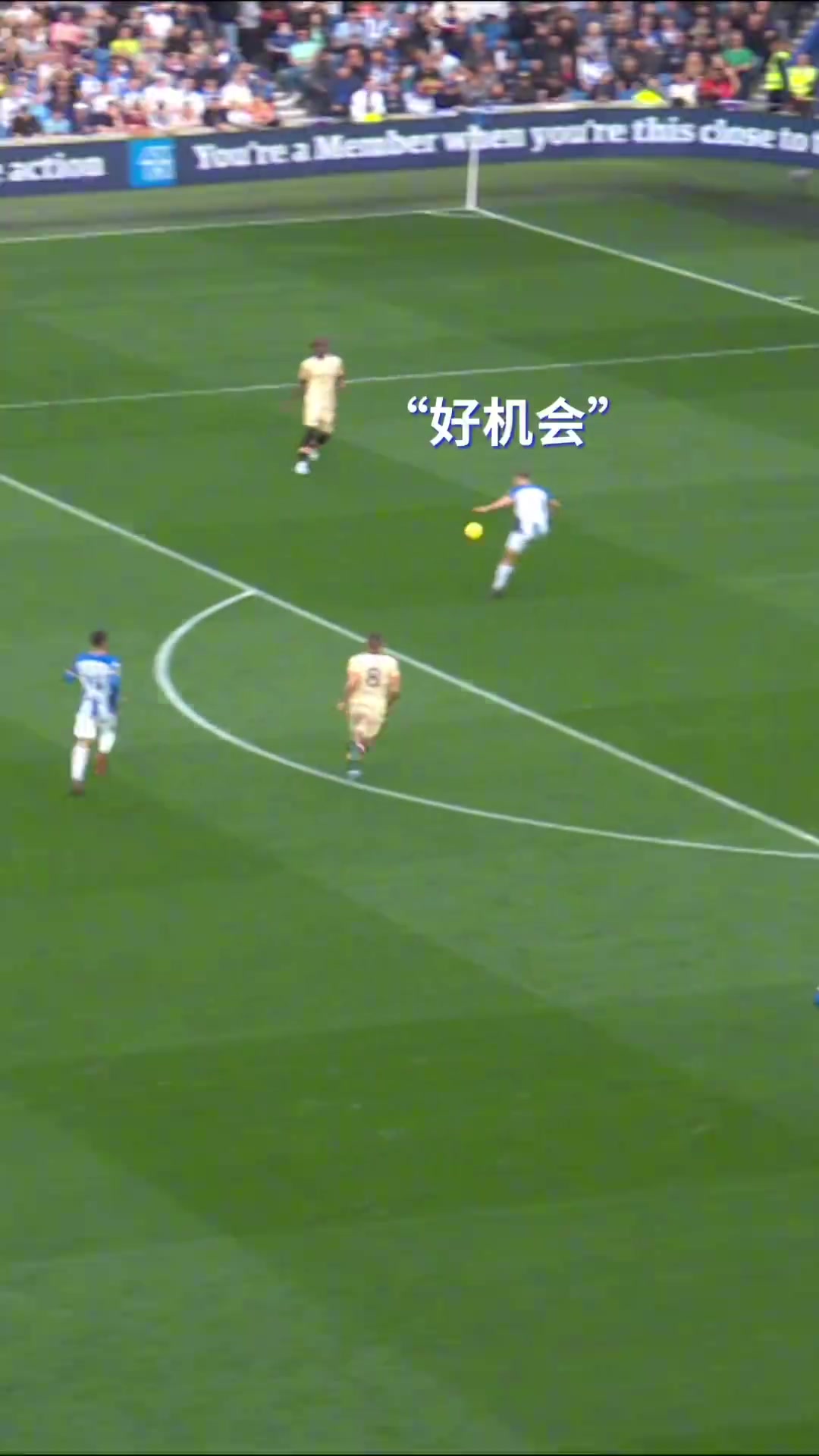 /video/yingchao/245234.html