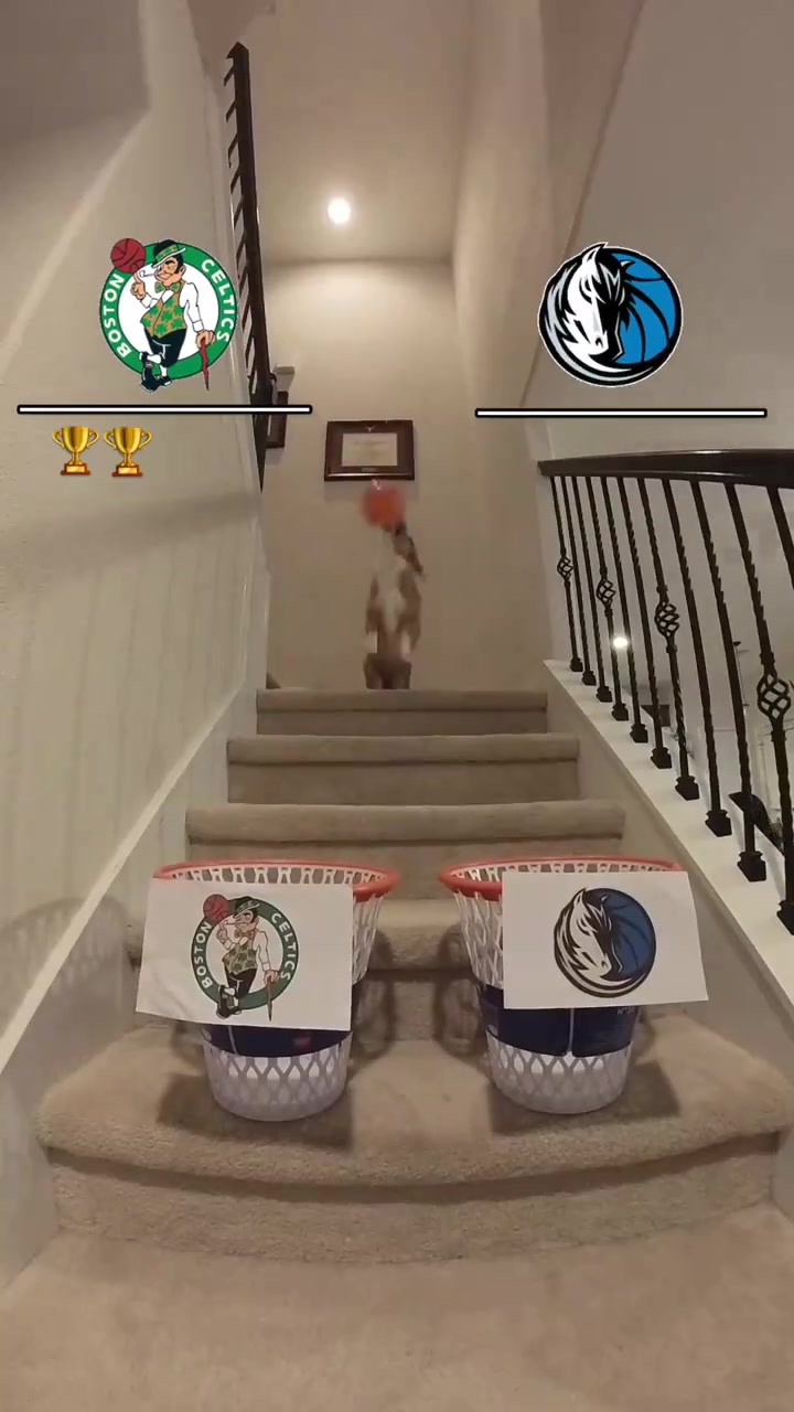 /video/nba/246137.html