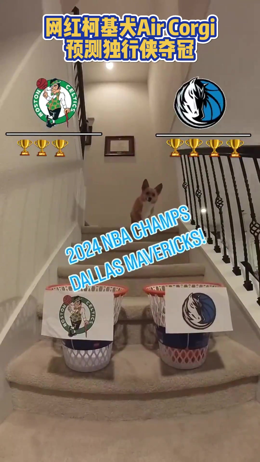/video/nba/246999.html