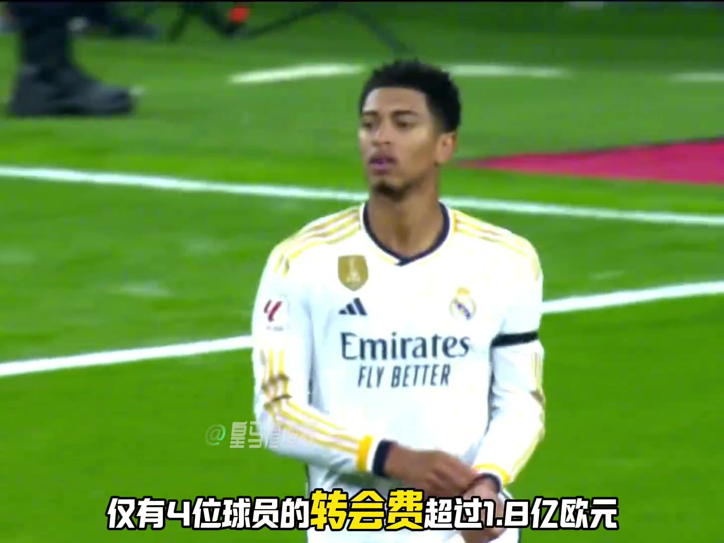 /video/xijia/246878.html