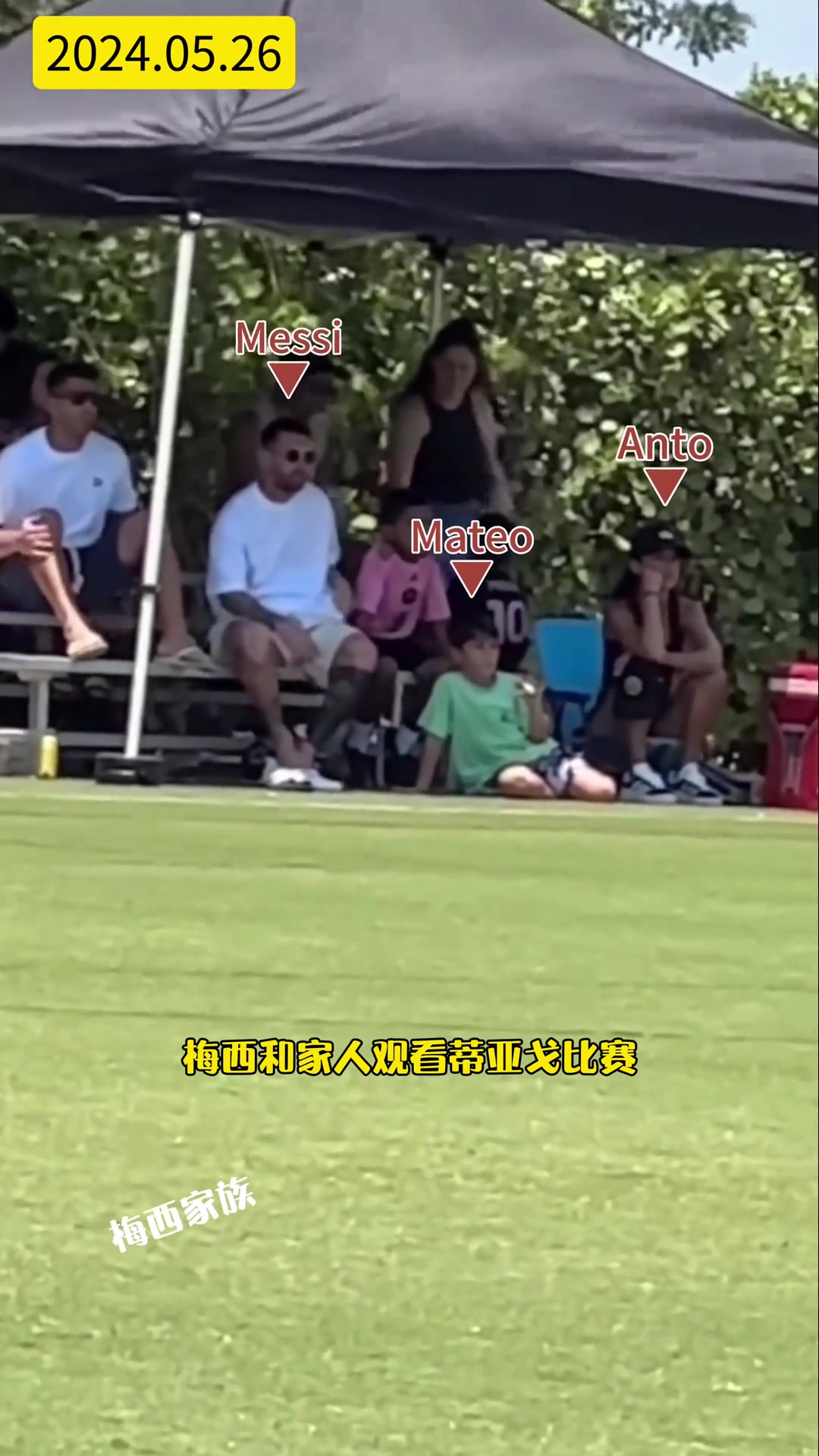 /video/xijia/247171.html