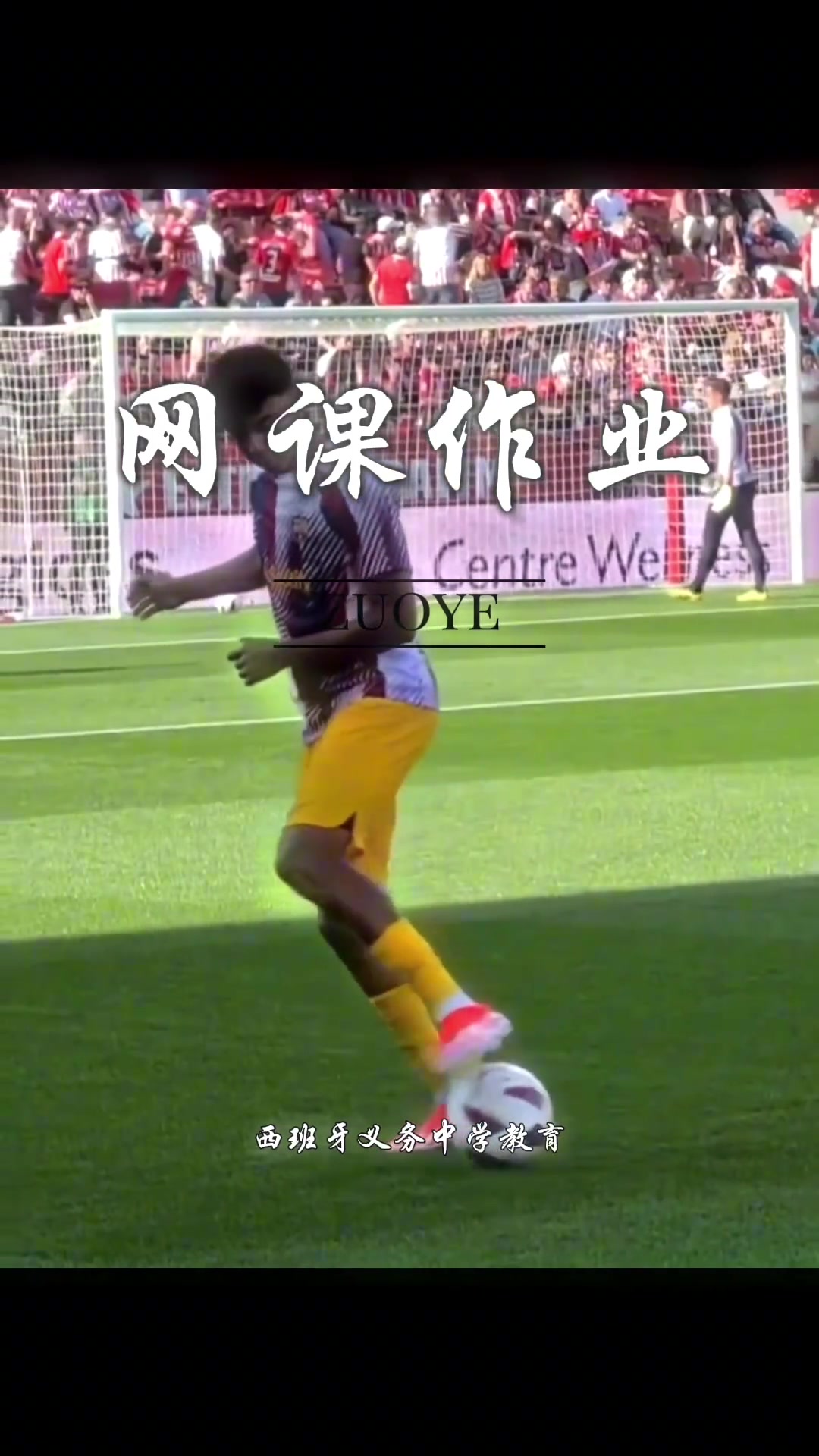 /video/xijia/249406.html