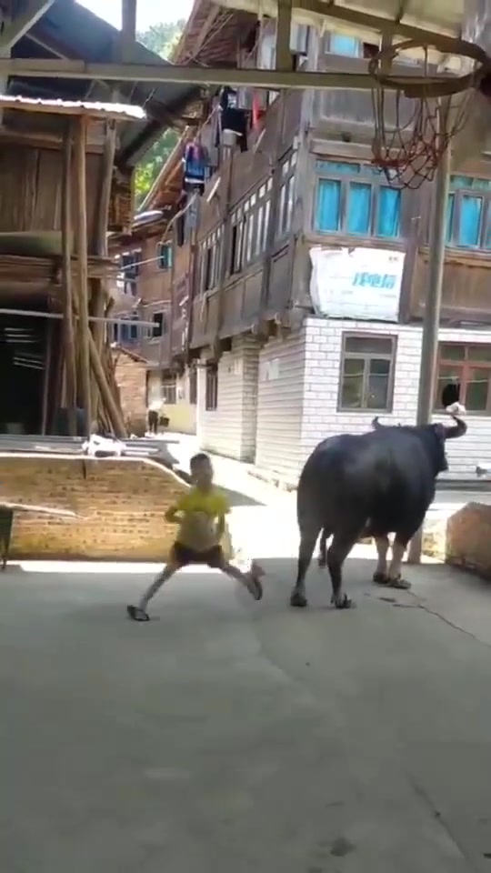 这是现实版的勇士打公牛啊????????????