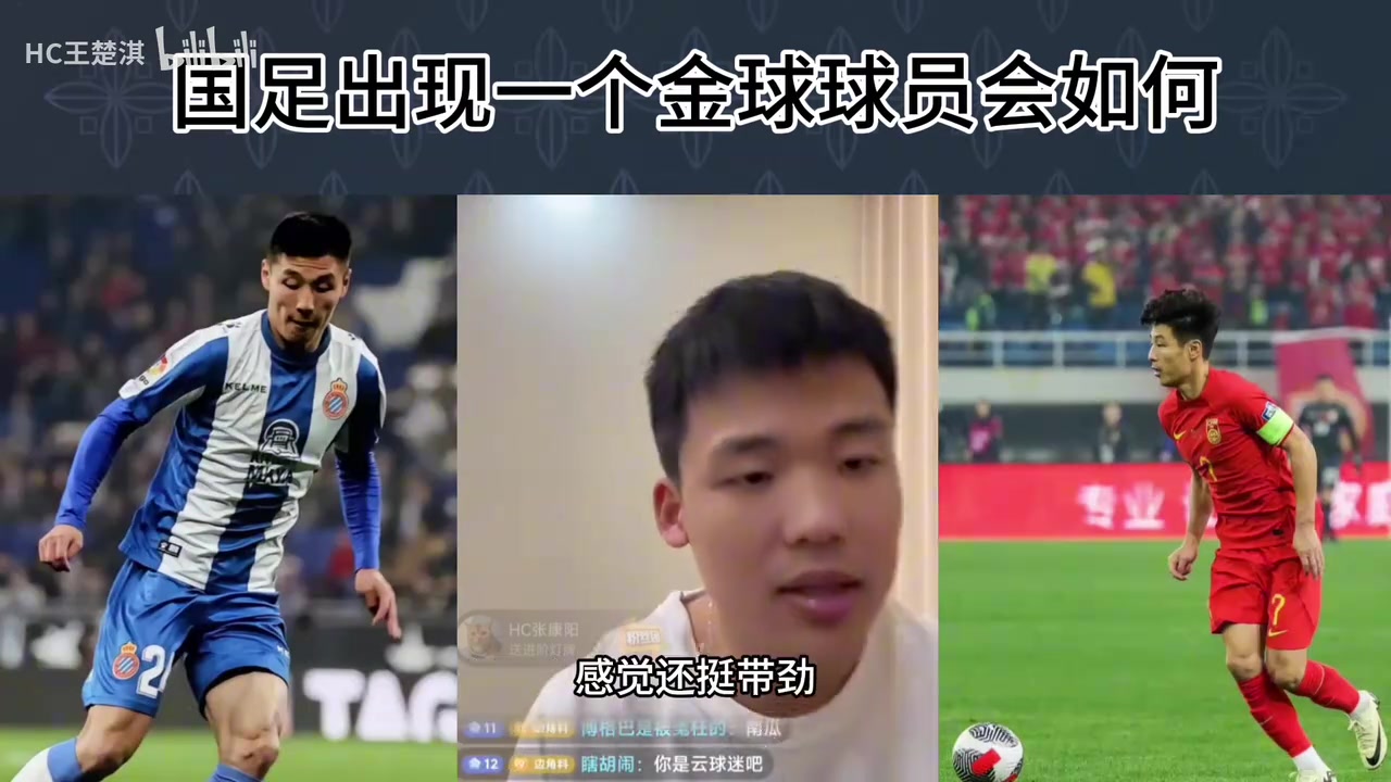 /video/guonei/250481.html