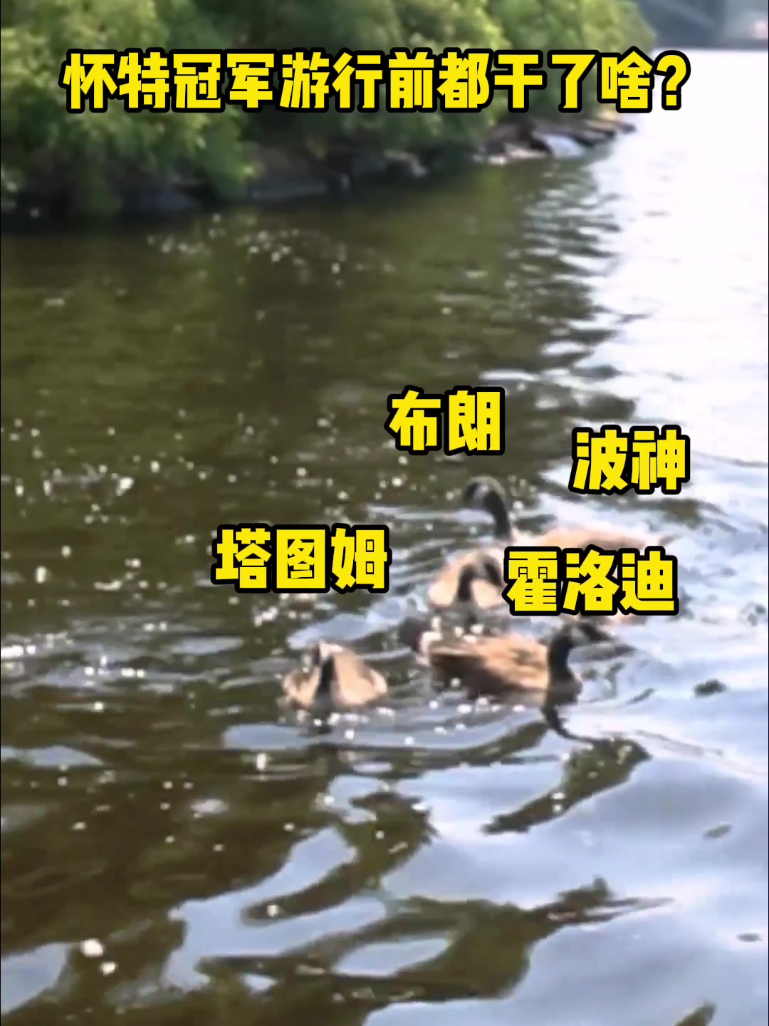 ????还是你会玩！小白怀特在船上把水里的鸭子当凯尔特人首发进行“投喂”！