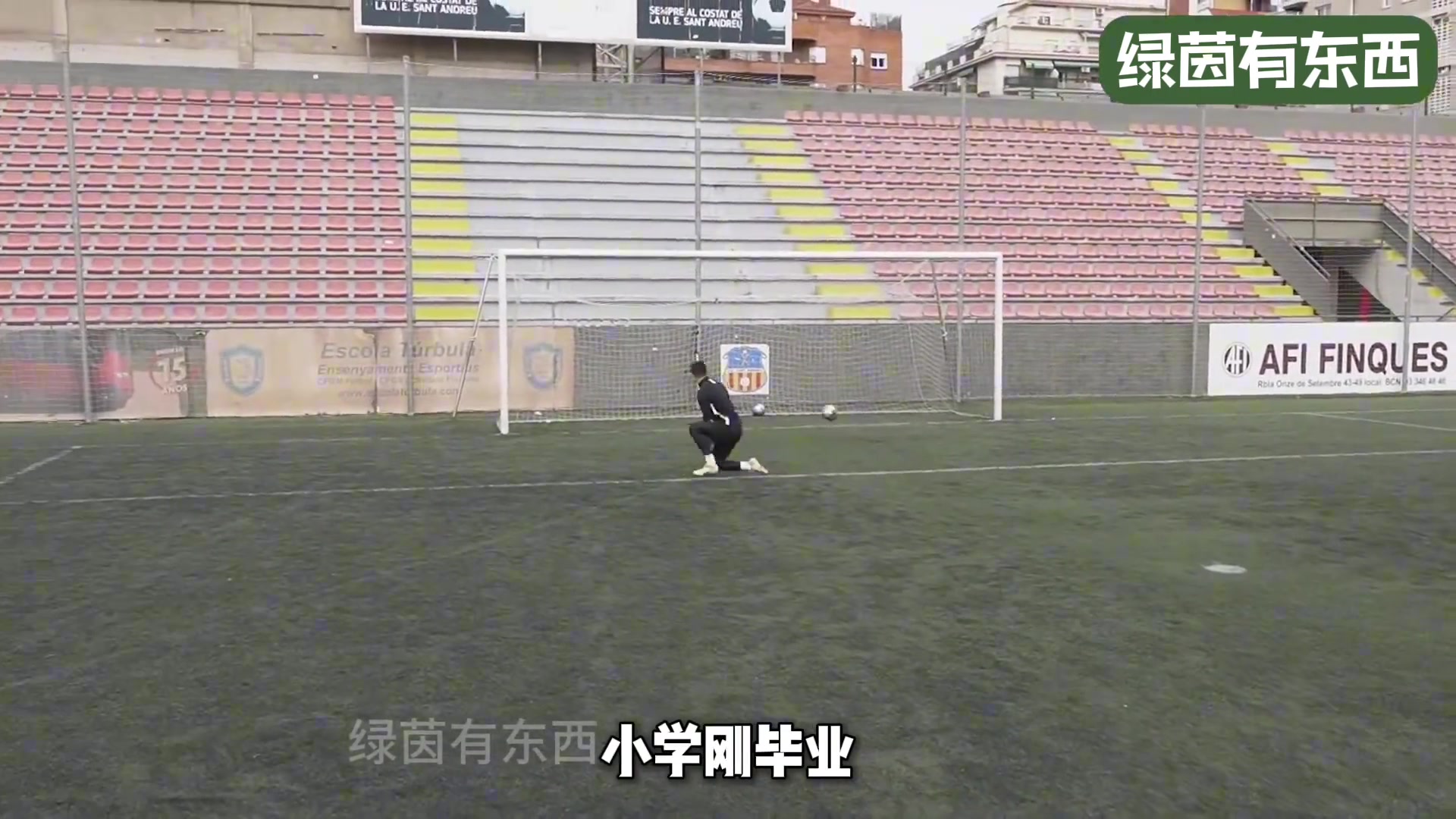 /video/xijia/254535.html