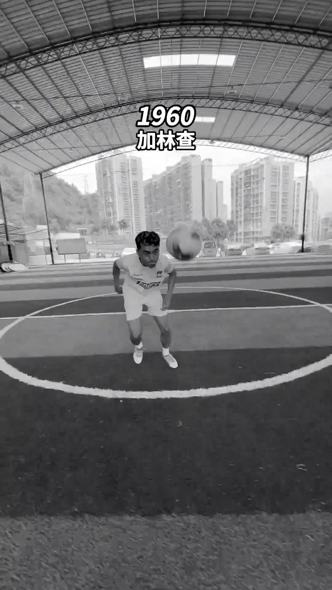 /video/xijia/255798.html