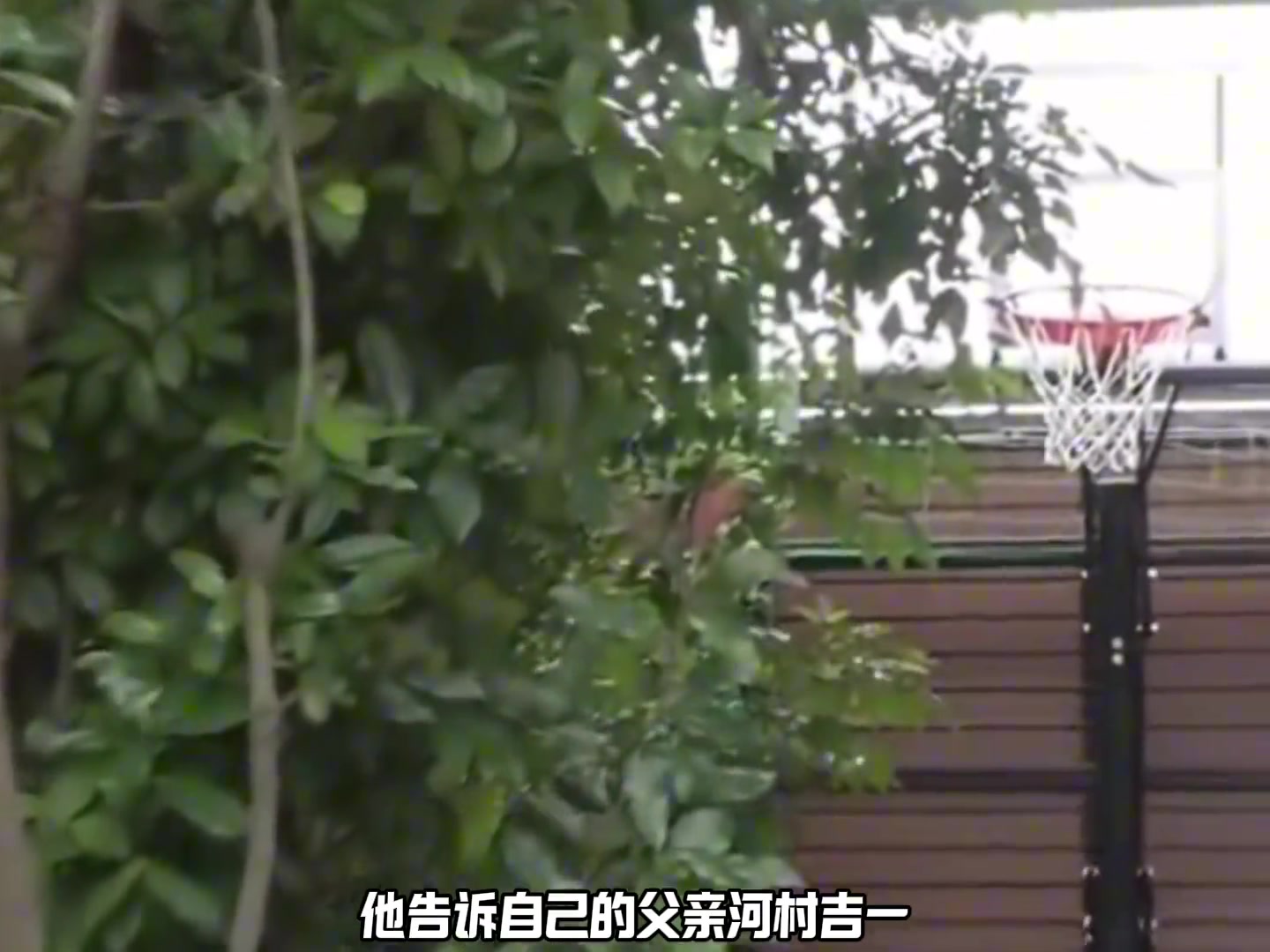 /video/nba/257377.html
