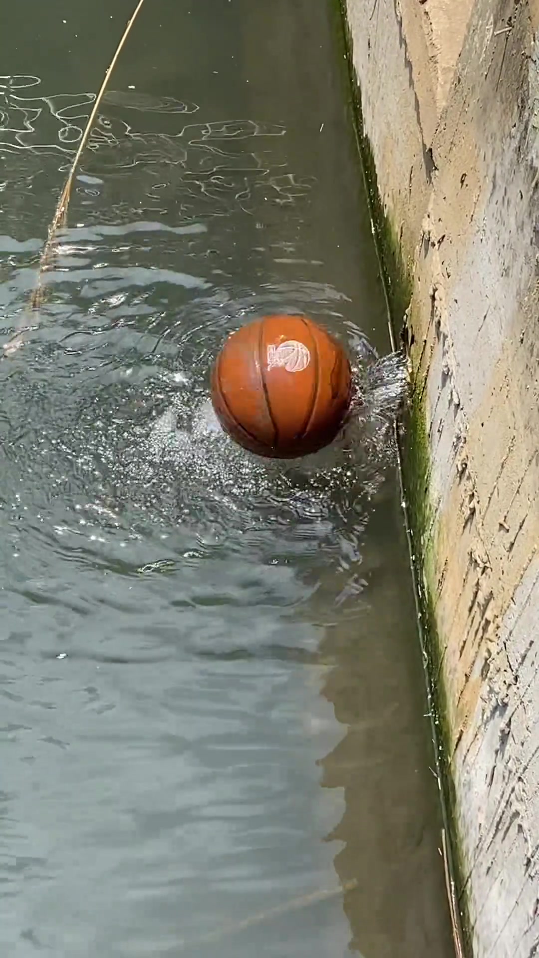/video/nba/258831.html