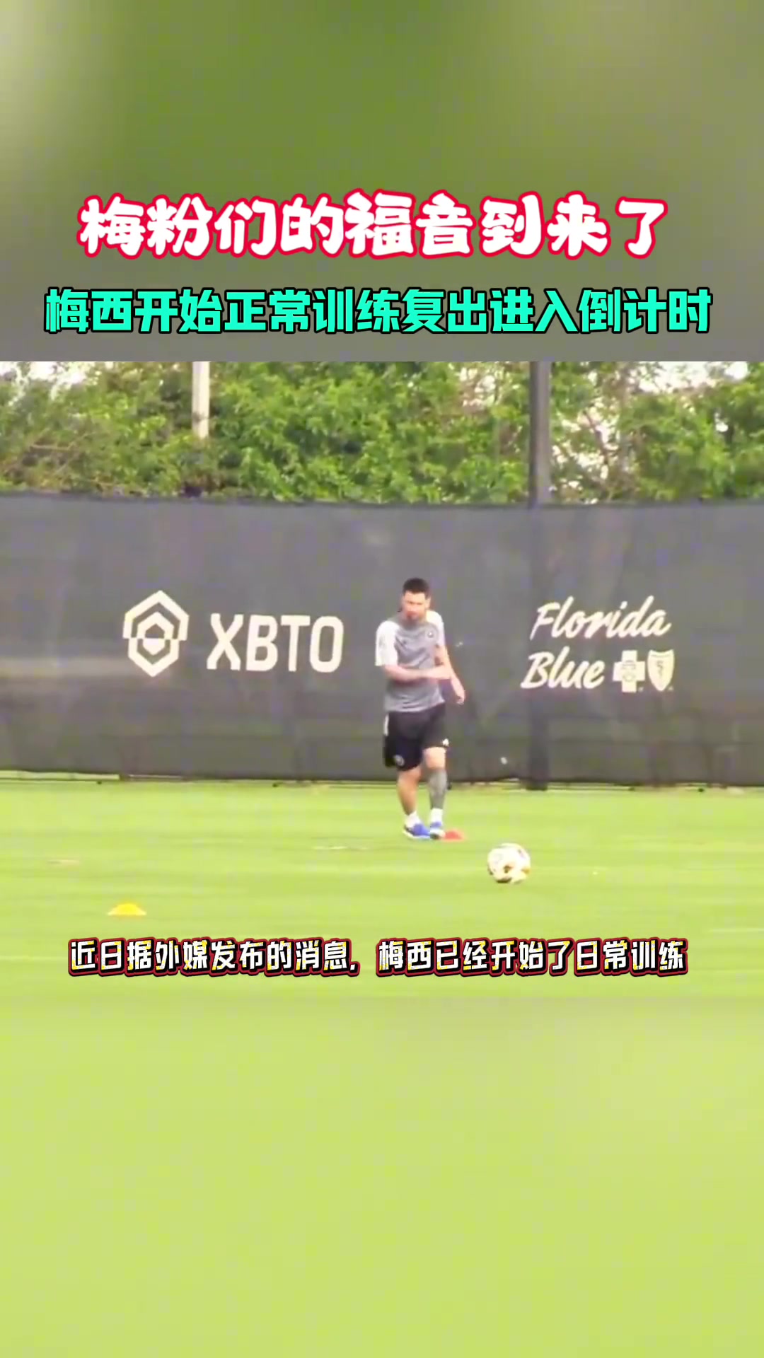 /video/xijia/259939.html