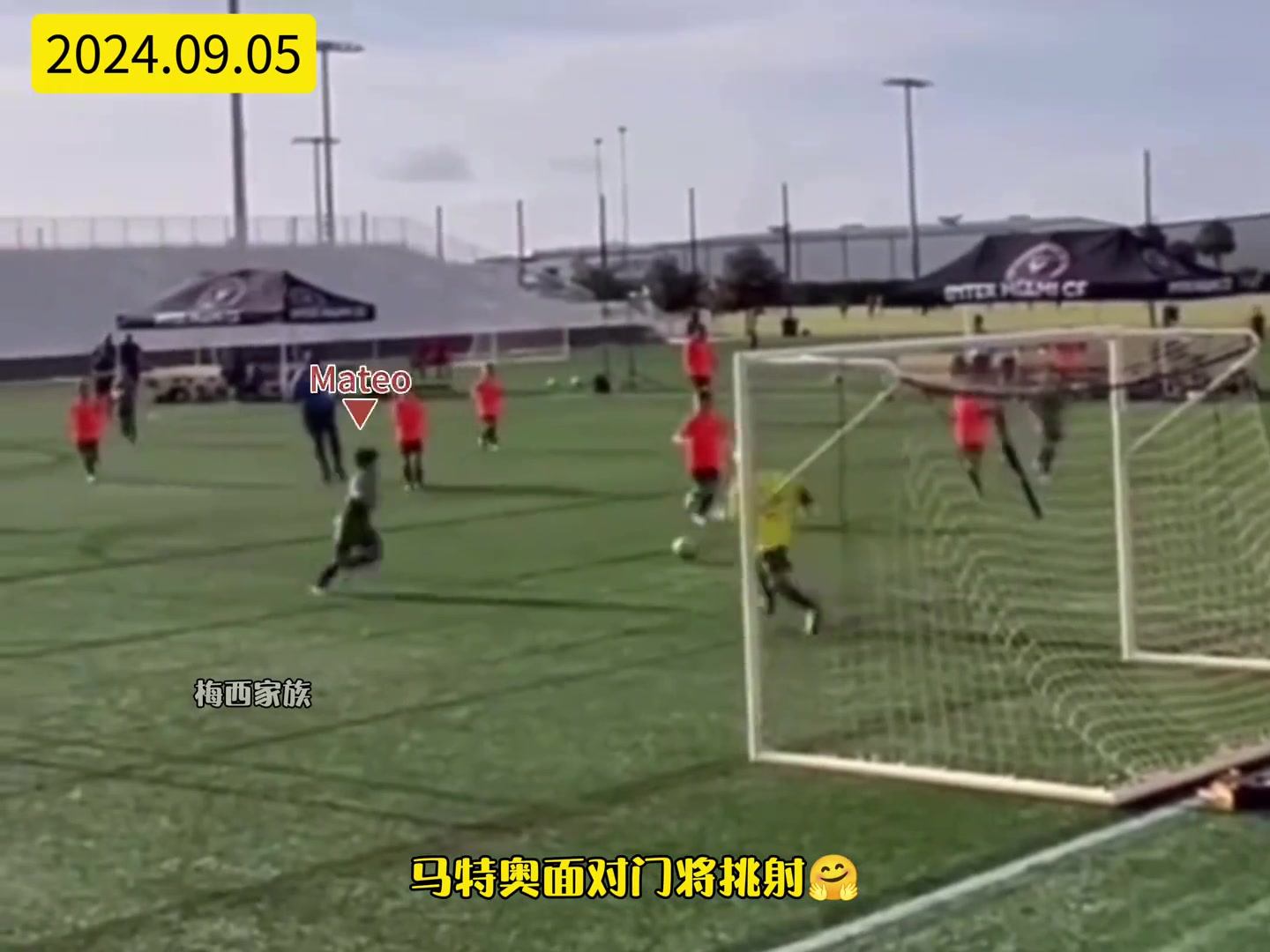 /video/xijia/263173.html