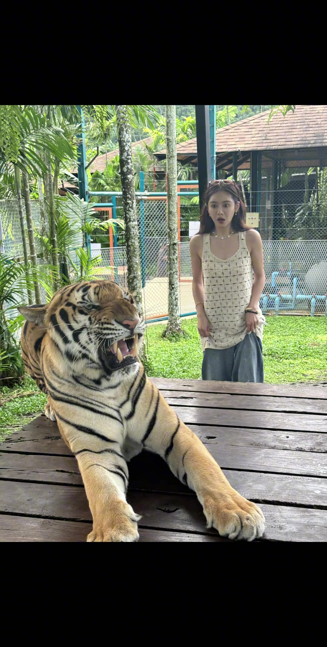 看得出美娜是真的怕了????????