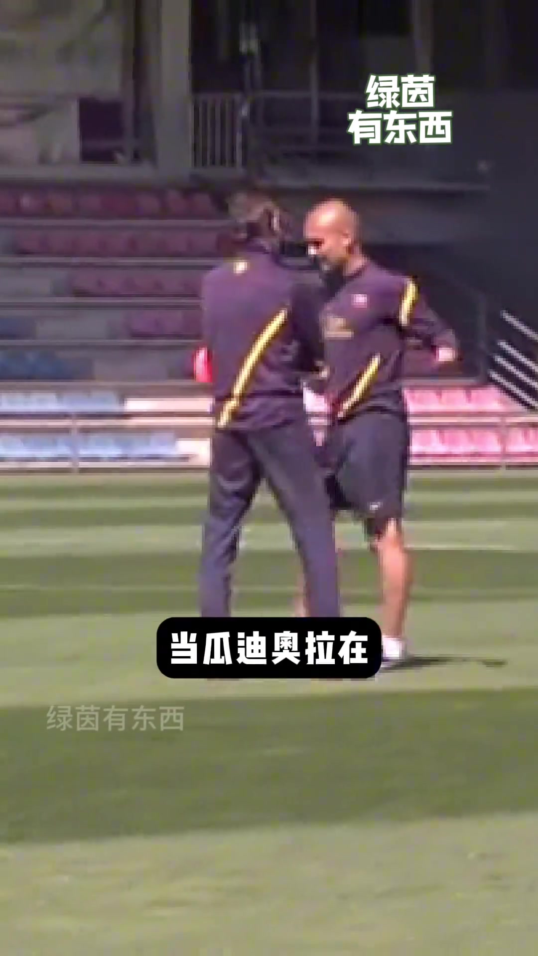/video/xijia/270269.html