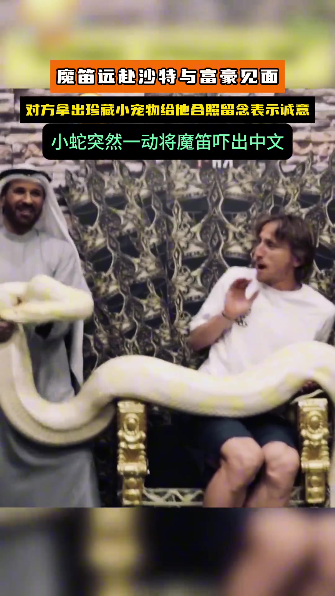 唉呀妈呀????莫德里奇被沙特老哥的黄金巨蟒吓一跳！