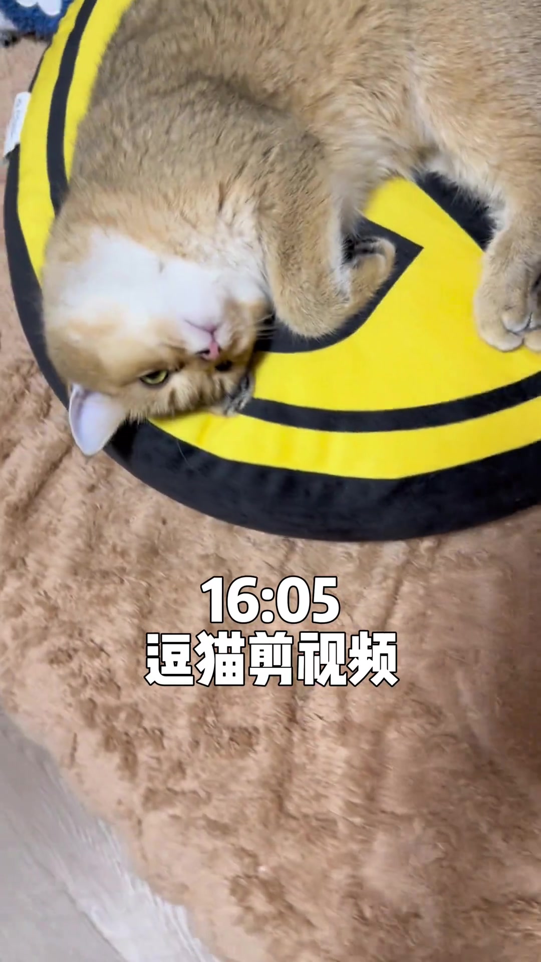 沈云怡作为新晋美女解说员是真好看呀~在解说里是女神级别了????