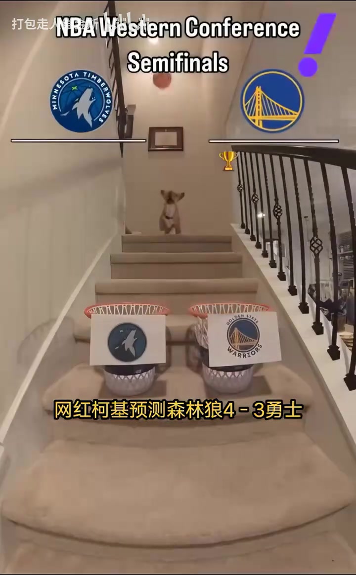 /video/nba/294371.html