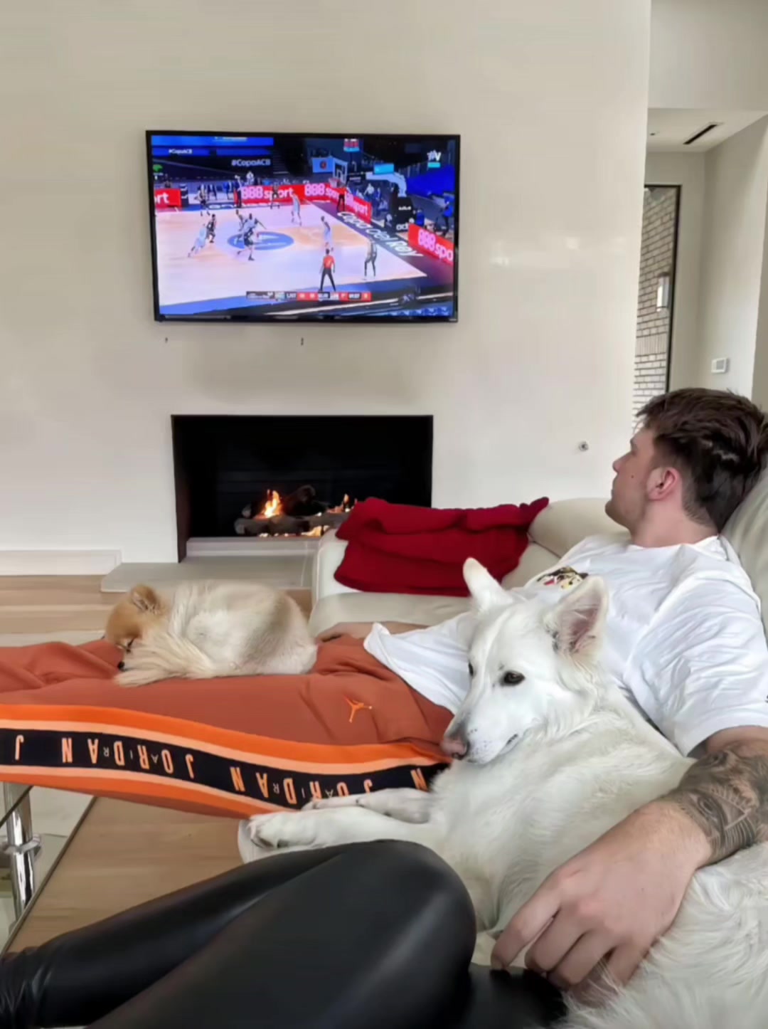 东契奇和老婆爱犬一起看球赛 不知道的还以为在看CBA???