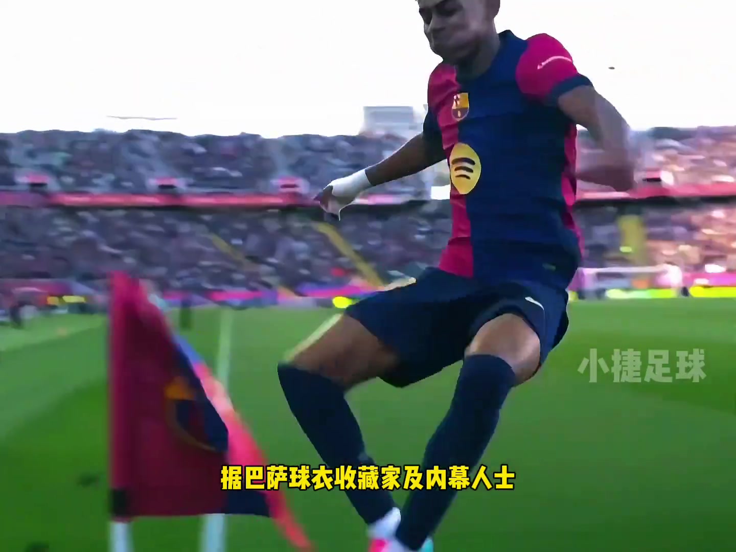 /video/xijia/296724.html