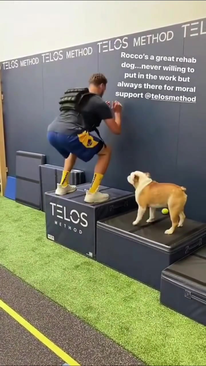 NBA最出名的小狗！汤普森爱犬Rocco近期离世??