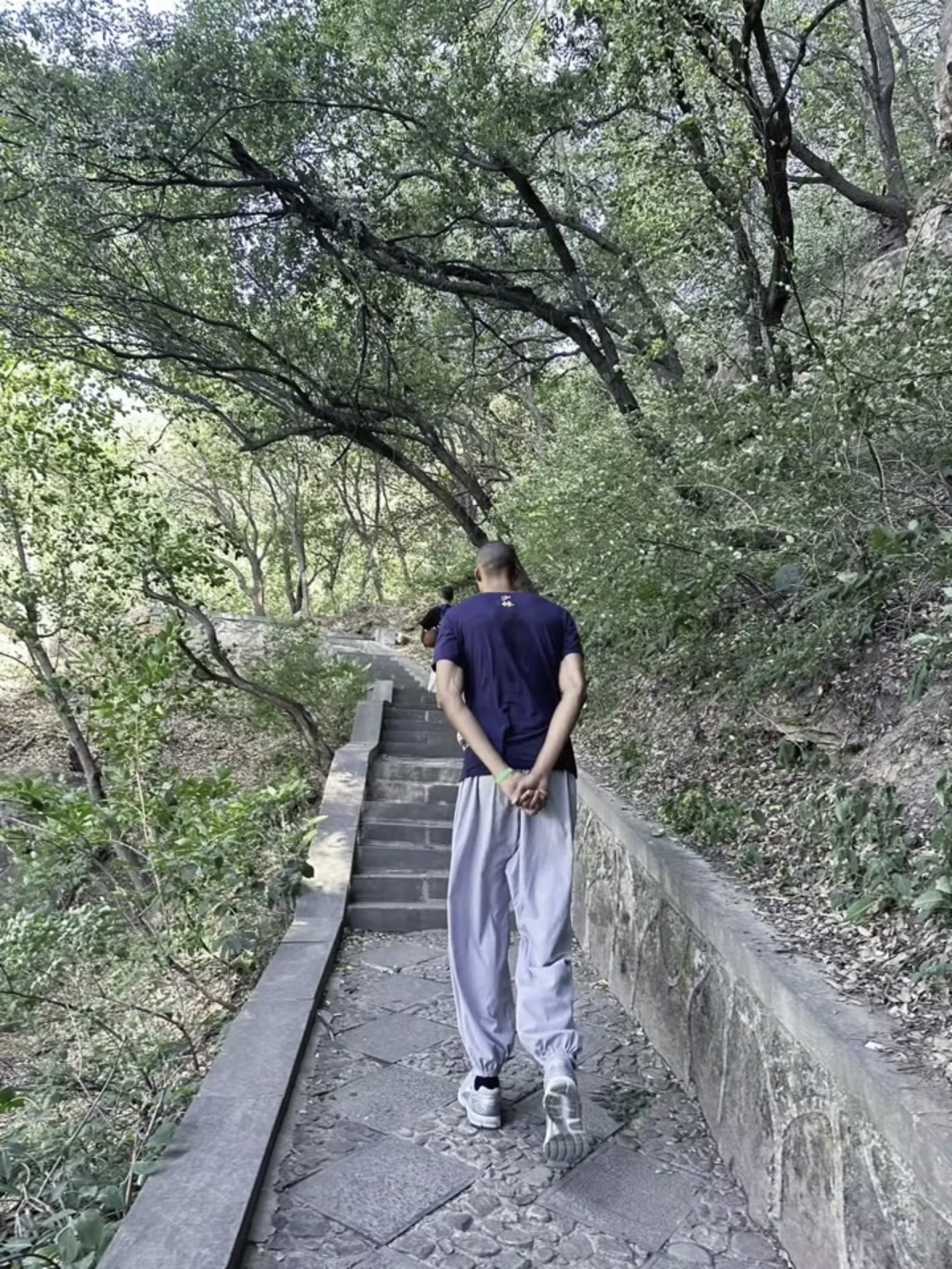 高僧心性！文班被拍到背着手走在嵩山林间