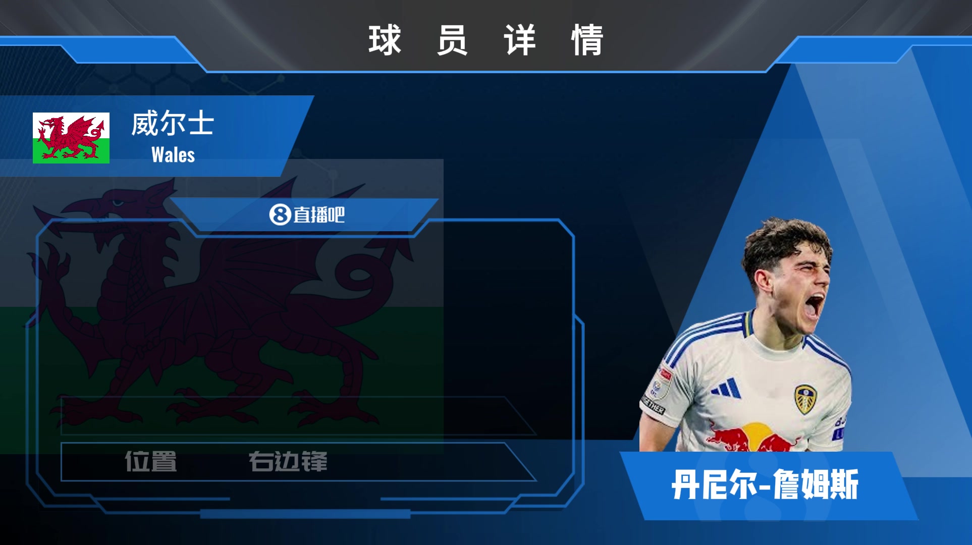 丹尼尔-詹姆斯球员集锦：绿茵场上的边路利刃