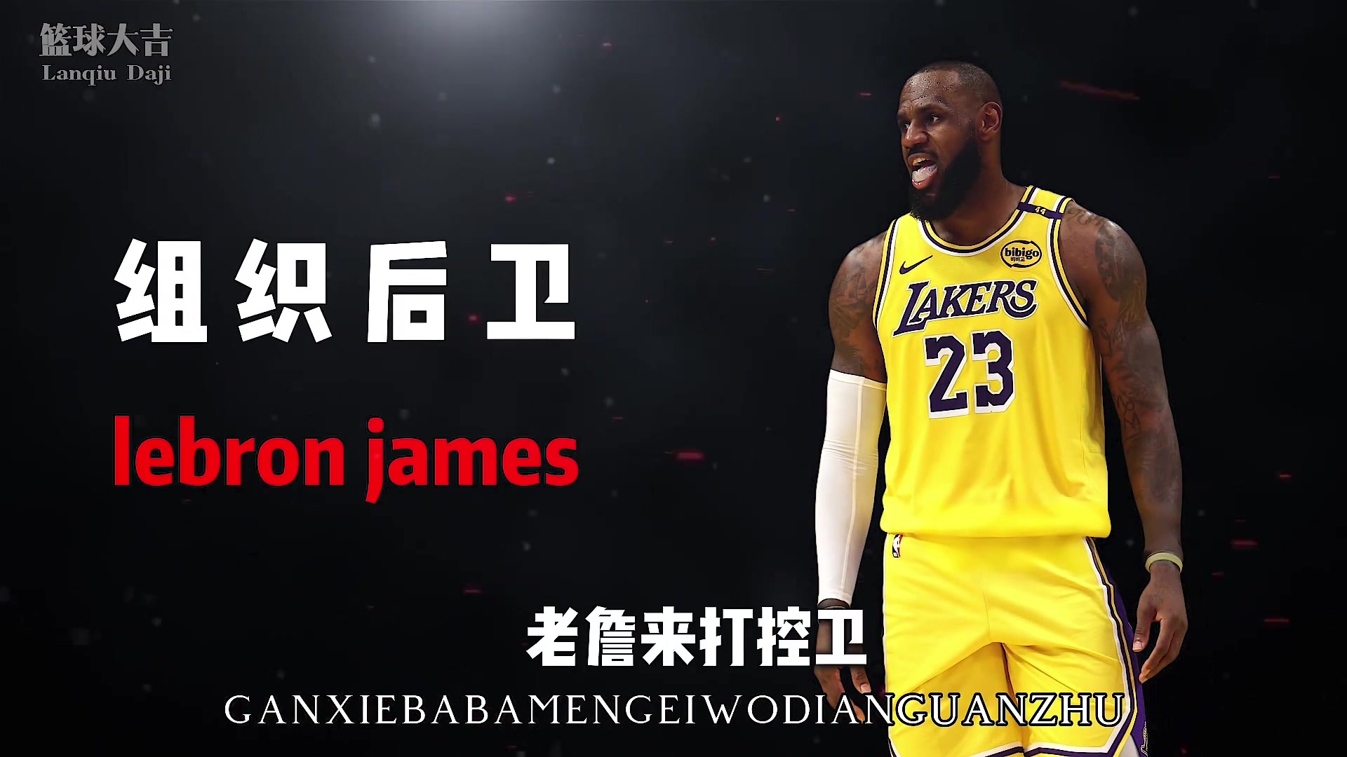 /video/nba/306838.html