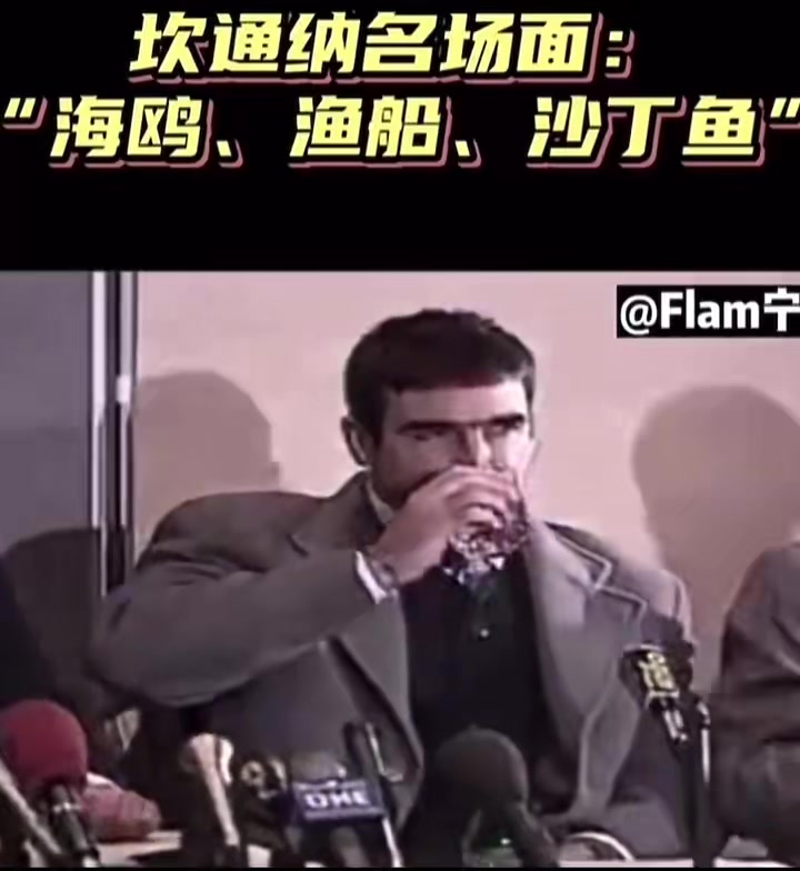 坎通纳名场面！“海鸥、渔船、沙丁鱼”
