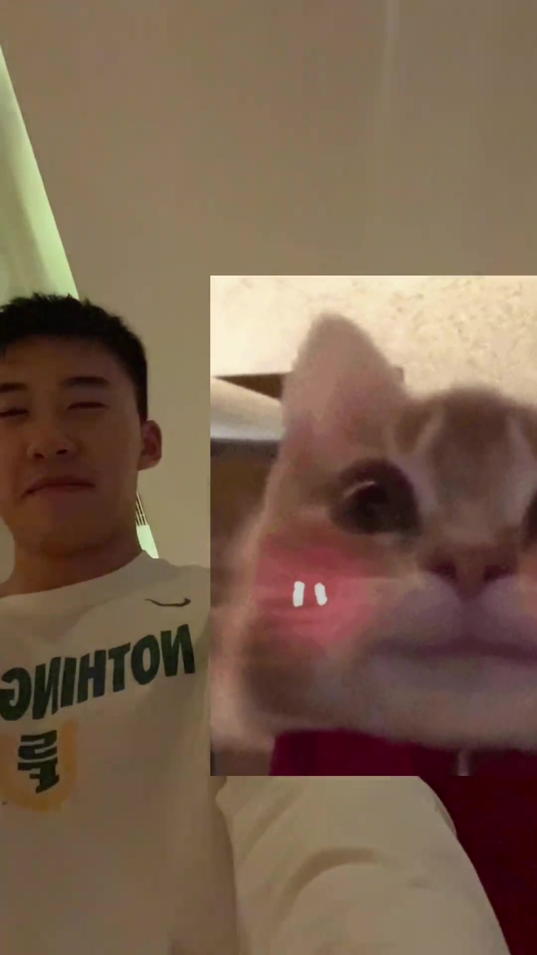 评论区猜测关系被否认！女网友晒遮脸合拍?王俊杰笑得很羞涩啊