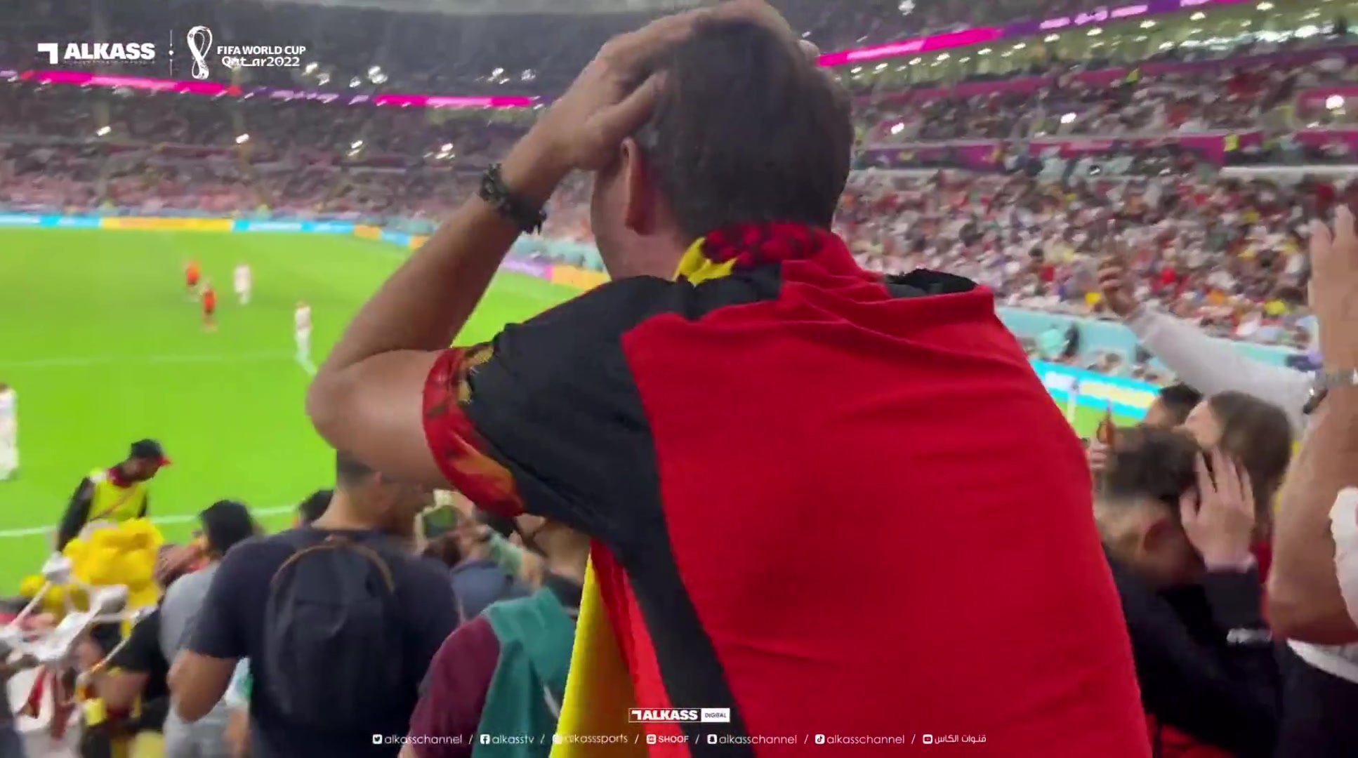 现场比利时球迷看到卢卡库错失良机反应