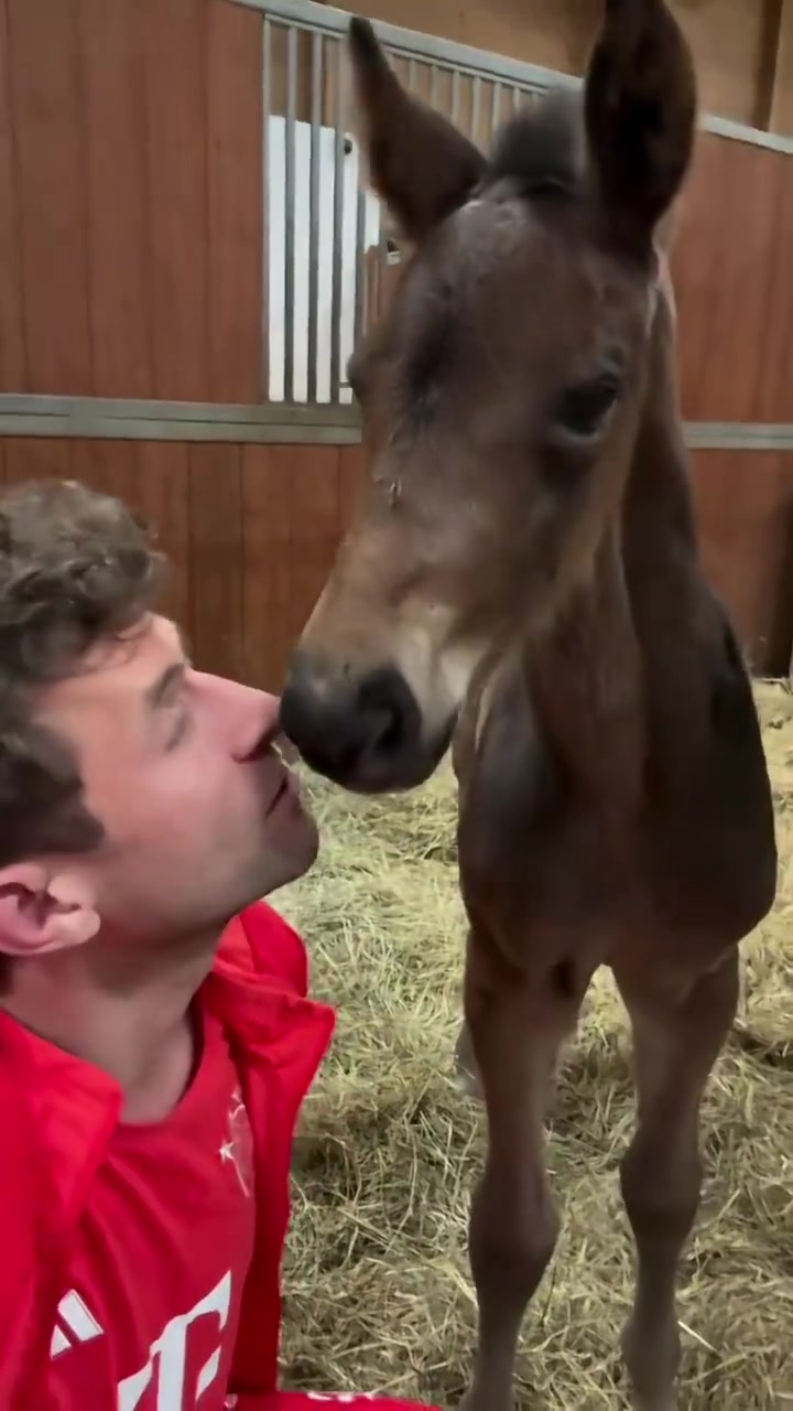 你是真的爱马仕！穆勒亲吻自家的新马驹????